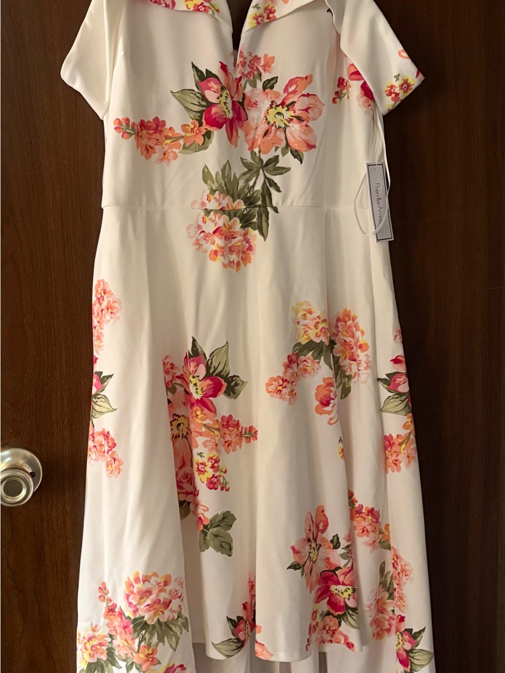 Pippa & Julie White Floral Collared Fit-and-Flare Dress